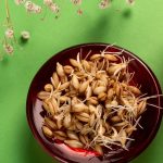 Sprouted seeds in a red bowl on green background with white flowers and red candle.